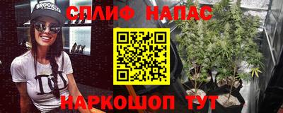 дмт Заволжье