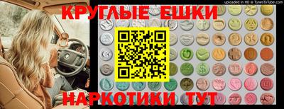 apvp Заводоуковск